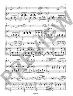 3 Lieder aus dem Schwanengesang von Franz Schubert von Theobald Böhm 