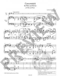 Concertstück op. 3 von Joachim Andersen 