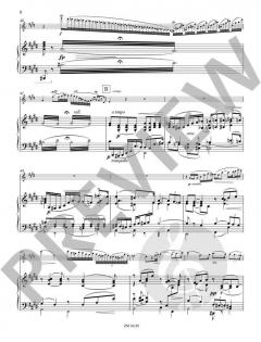 Concertstück op. 3 von Joachim Andersen 