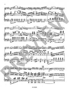 Konzert cis-Moll op. 2 von Franz Berwald 