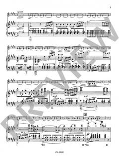 Konzert cis-Moll op. 2 von Franz Berwald 