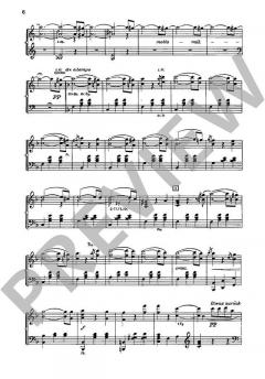 Wiener Blut von Johann Strauss (Sohn) 