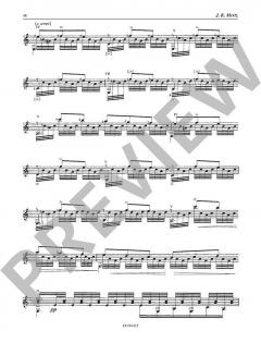 Guitar Works Vol. 6: Concert Works von Johann Kaspar Mertz 