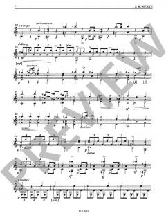 Guitar Works Vol. 8: Guitar Duos von Johann Kaspar Mertz 