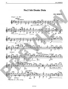 Guitar Works Vol. 8: Guitar Duos von Johann Kaspar Mertz 