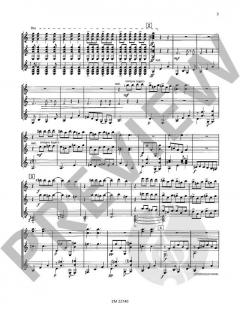 Concierto de Samba von Klaus Wüsthoff 