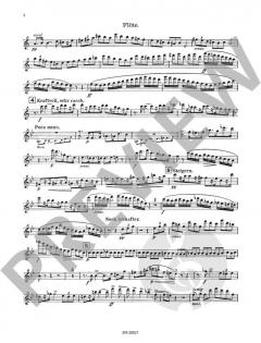 Quintett op. 52 von Theodor Blumer 