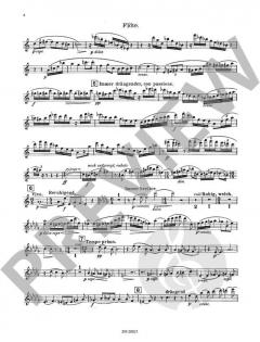 Quintett op. 52 von Theodor Blumer 