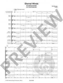 Eternal Winds von Wil Offermans 