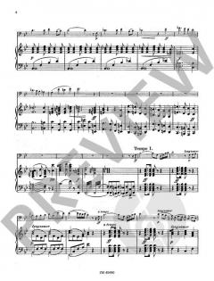 Concertstück op. 28 von Max Warnecke 