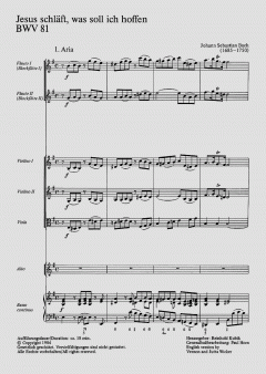 Jesus schläft, was soll ich hoffen (J.S. Bach) 