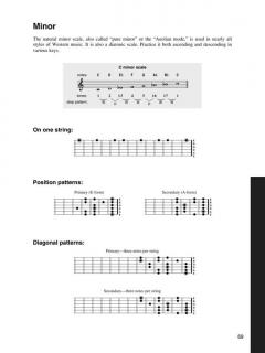 Left Handed Guitar von Troy Stetina 