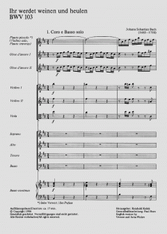 Ihr werdet weinen und heulen (J.S. Bach) 