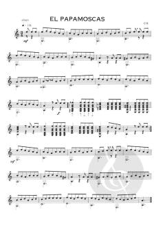 Toca Guitarra von Cees Hartog 