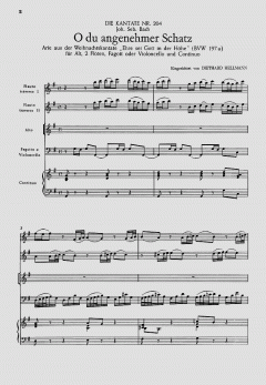 O du angenehmer Schatz (Download) 