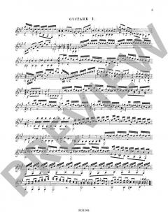 Duo Concertant von Ferdinando Carulli 