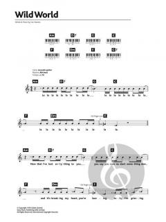 Wild World von Cat Stevens 