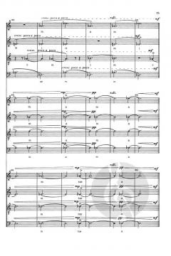 As I Crossed a Bridge of Dreams von Anne Boyd 