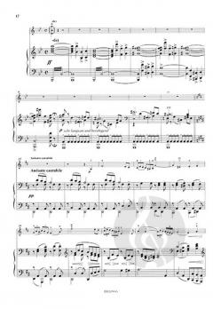 Concerto g-moll op. 8 von Leo Portnoff 