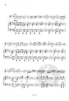 Concerto g-moll op. 8 von Leo Portnoff 