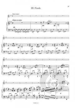 Konzert Nr. 1 g-moll op. 26 von Max Bruch 