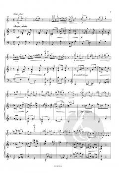 Ungarische Rhapsodie op. 47 von Friedrich Seitz 