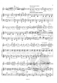 Ungarische Rhapsodie op. 47 von Friedrich Seitz 