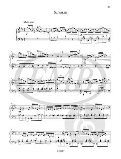 Wolf-Temperiertes Klavier (Peter E. Wolf) 