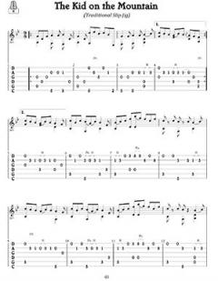 Celtic Guitar Treasures 