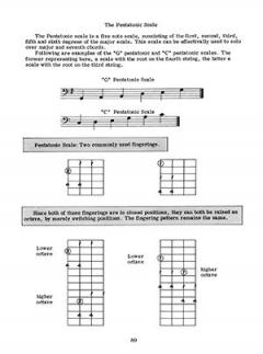 The Literate Bassist von Fred Paterno 