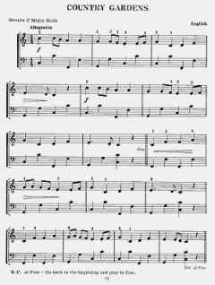 Deluxe Accordion Method von Frank Zucco 