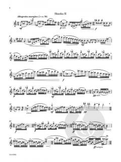 2 Skazkas von Lora Al-Ahmad 