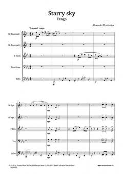 Starry sky von Alexandr Nevdashev 