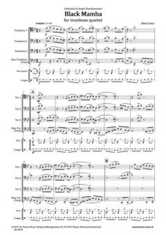 Black Mamba von Alex Lisun 