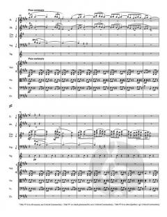 Symphonie Nr. 9 e-Moll op. 95 von Antonín Dvořák 