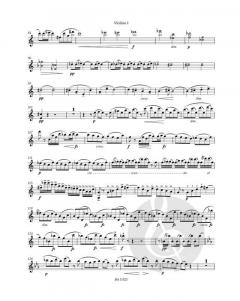 Streichquartett Nr. 10 Es-Dur op. 51 von Antonín Dvořák im Alle Noten Shop kaufen (Stimmensatz)