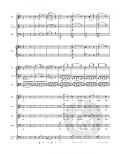 Stabat Mater g-Moll D 175 von Franz Schubert 