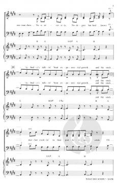 What Do I Know? von Ed Sheeran 