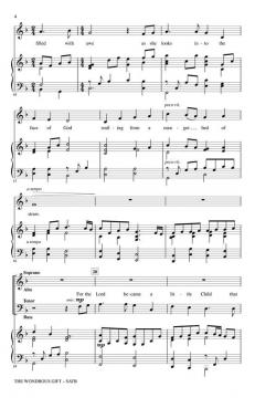 The Wondrous Gift von Brad Nix 