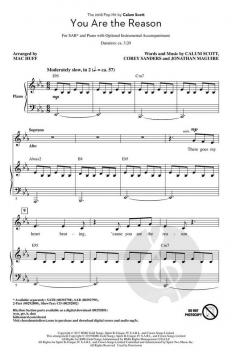 You Are the Reason von Calum Scott 