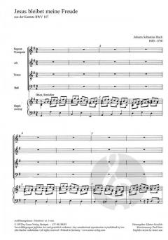 Jesus bleibet meine Freude (J.S. Bach) 