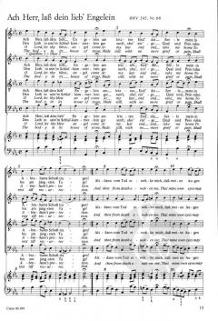 Die Choralsätze der Johannes-Passion (J.S. Bach) 