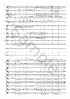 Magnetite von Emily Howard 