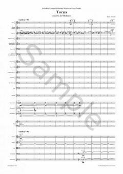 Torus von Emily Howard 