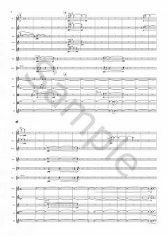 Torus von Emily Howard 