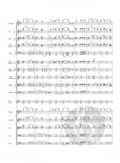 Slawische Rhapsodie D-Dur op. 45/1 von Antonín Dvořák 