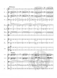 Slawische Rhapsodie g-Moll op. 45/2 von Antonín Dvořák 