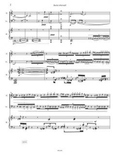 Bestie infernali! von Manuela Kerer 