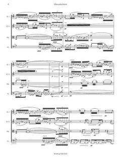 Gletscherquartett von Manuela Kerer 