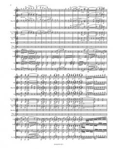 Symphonie Nr. 3 Es-Dur op. 55 von Ludwig van Beethoven 